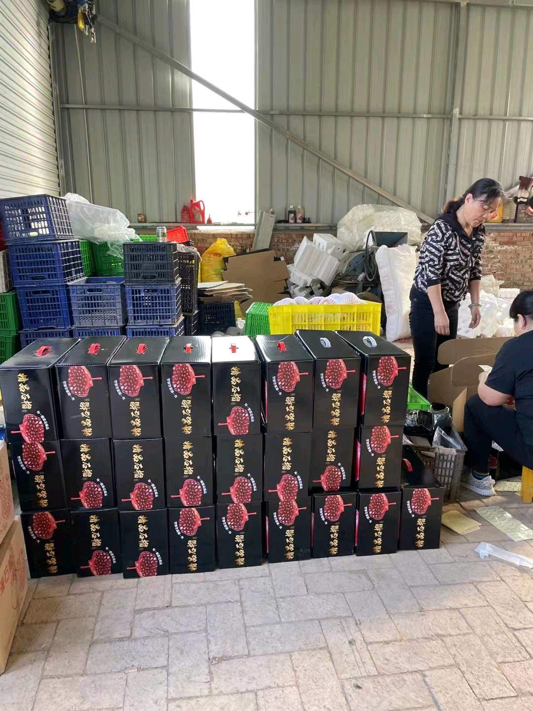 姚一博临潼兵马俑石榴成熟了有没有代理