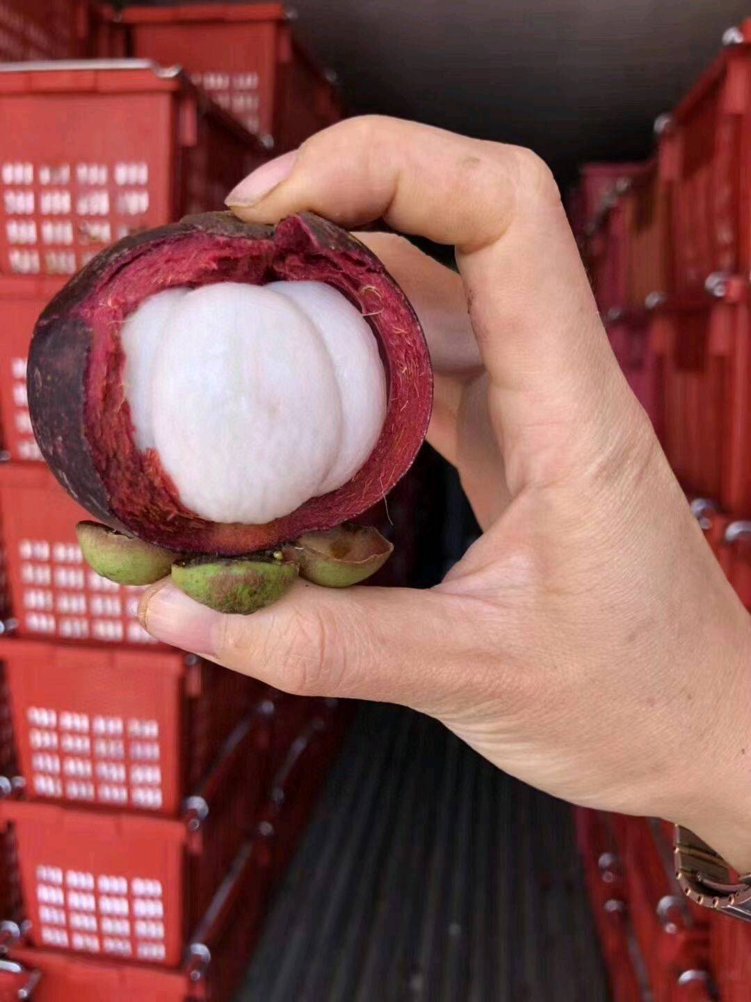 桑先生品牌货源山竹