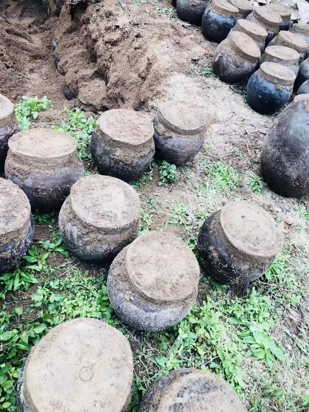秦先生品牌货源余家酒厂，招適，专注老酒，地窖酒，地下深埋3年以上