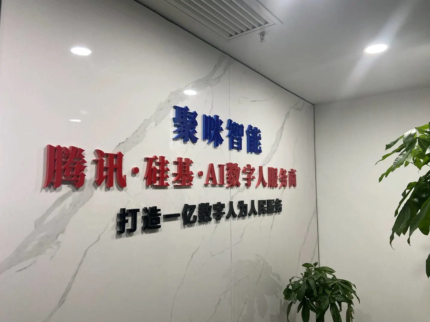 王先生找合伙人人工智能项目,无人播,数字人定制