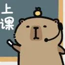 卢秋宏