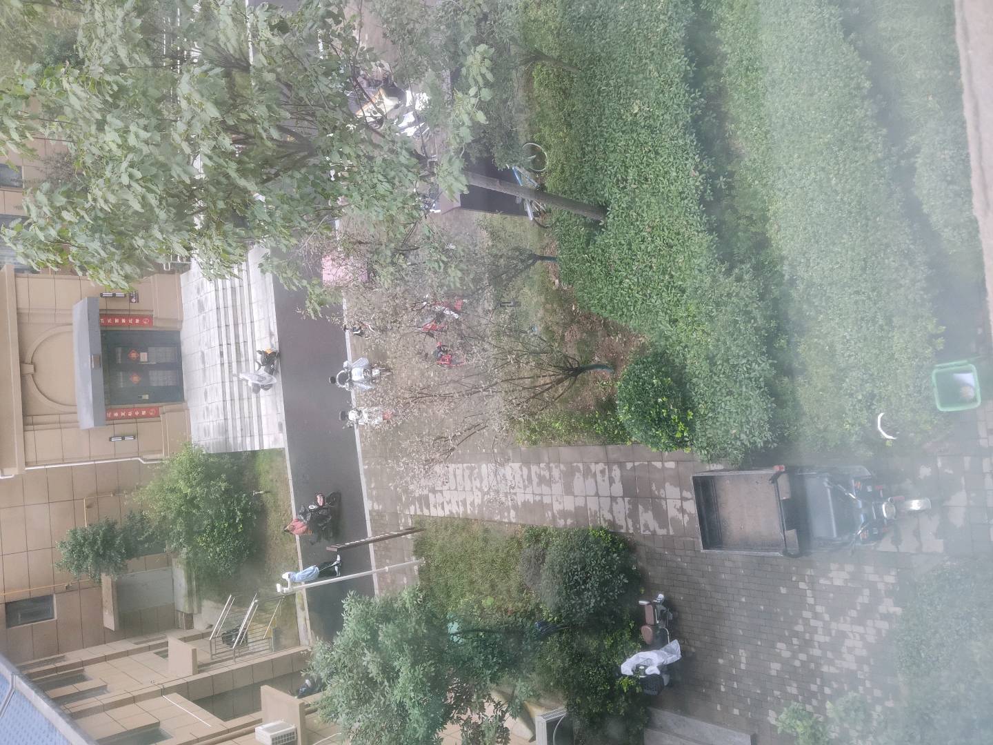 李鹏推广团队推广团队地推网推，来绿色项目