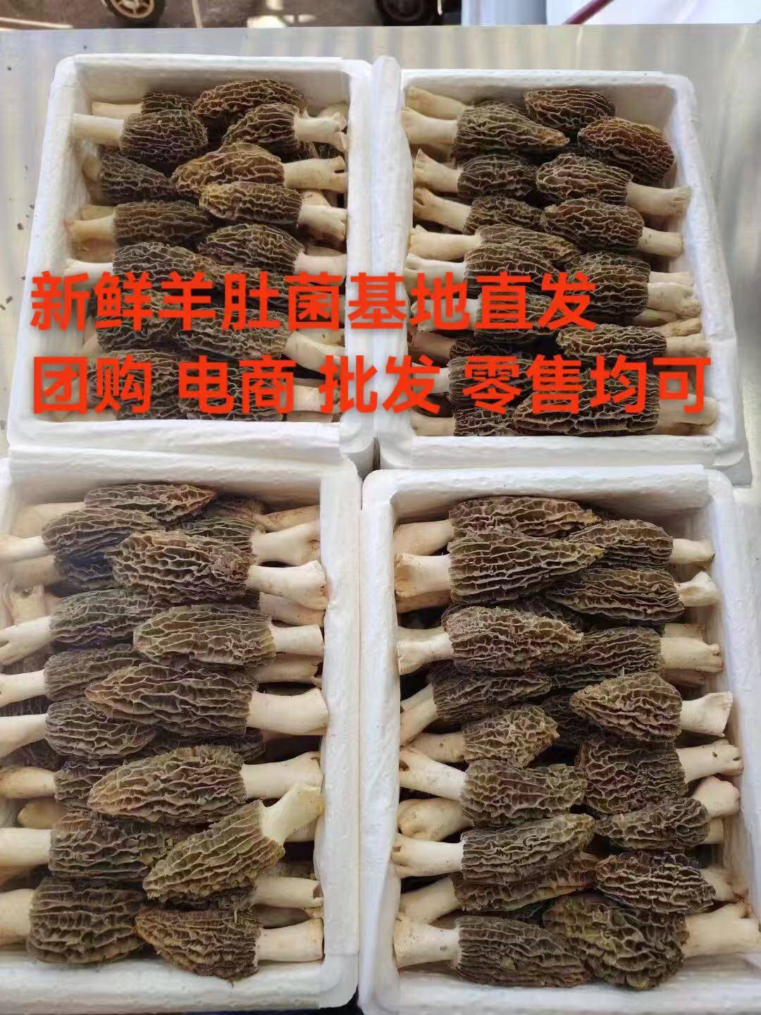 黄继品牌货源