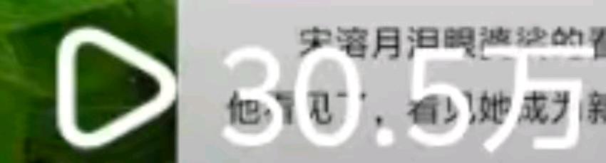 张青找合伙人小说推文项目,绿色稳定,独立后台,日结。时间自由,操作简单,可矩阵放大