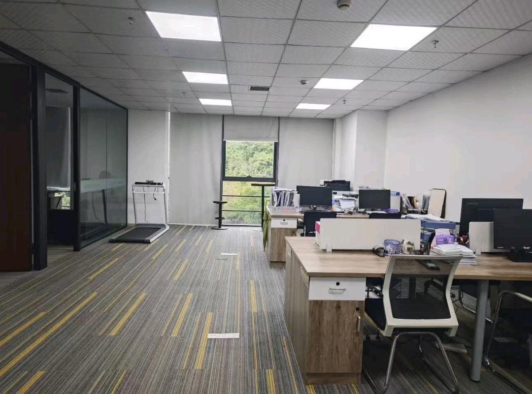 陈女士其他供需手机看广告项目，免费找合伙人，官方渠道，单人每日*