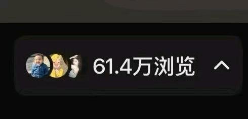 文女士找合伙人小说推广