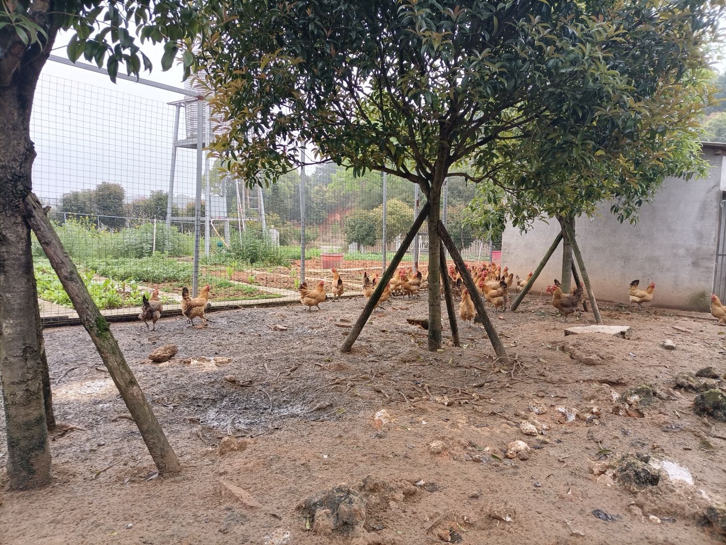 周宁湖南长沙我出场地，寻求养老护理院，农家采摘，农家乐项目