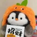 戴先生