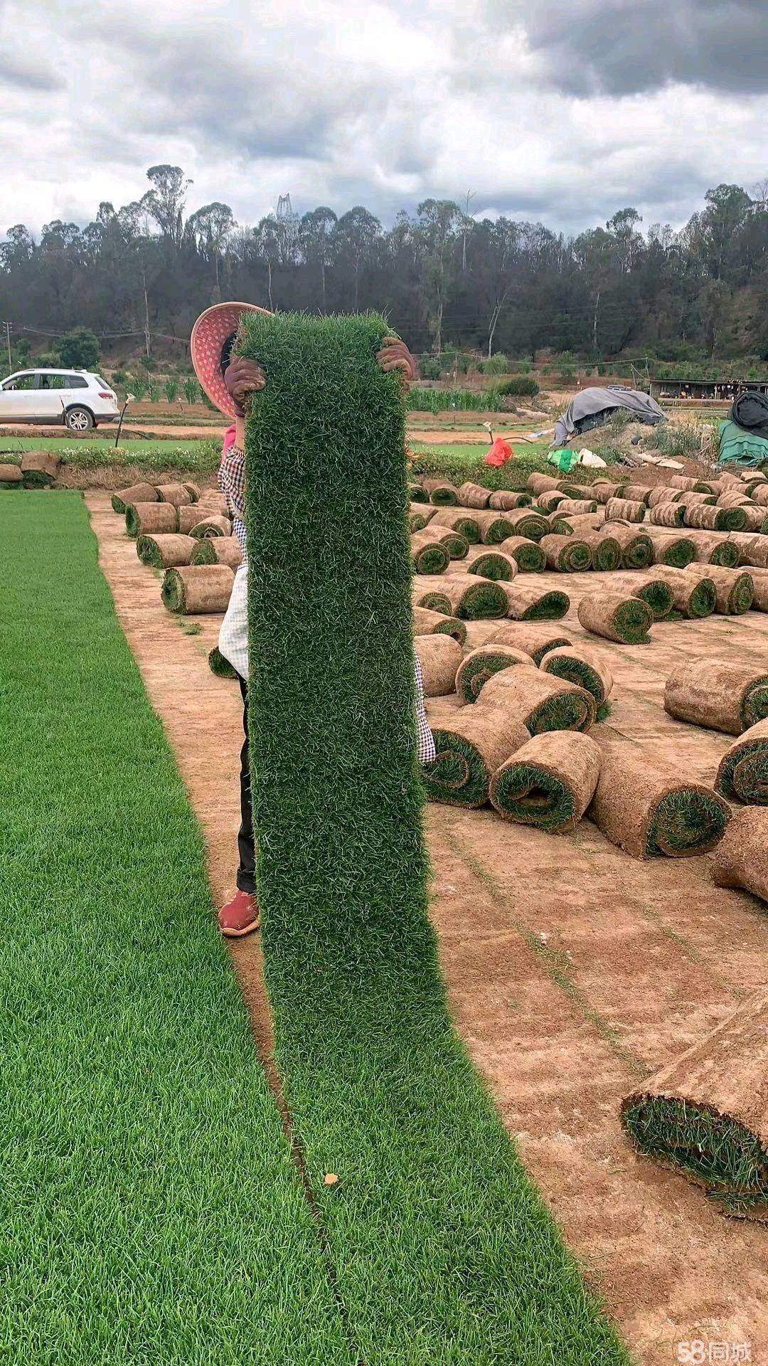高先生其他供需