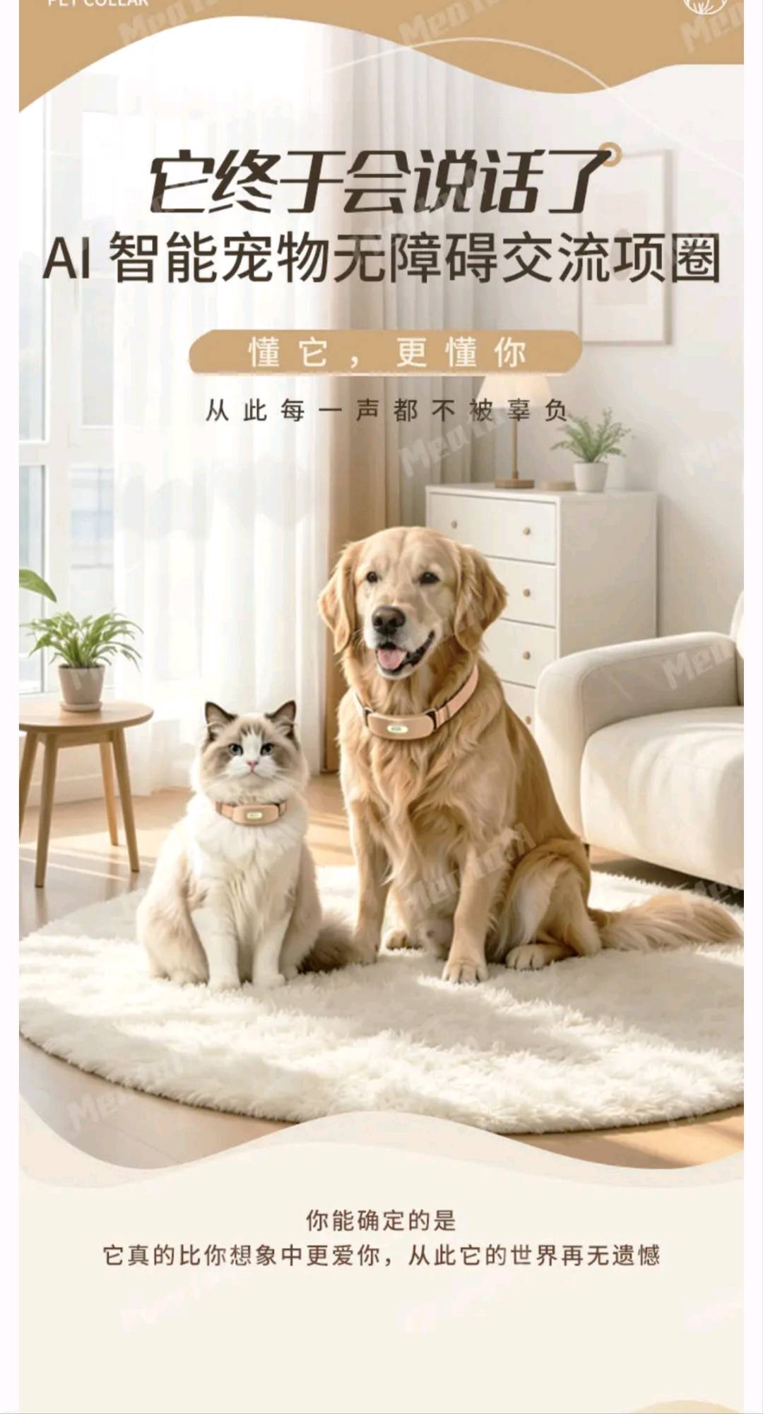 尹磊0门槛，ai风口 宠物新赛道 宠物智能项圈，人宠对话，蓝海市场