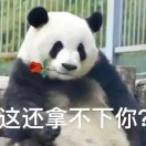何更
