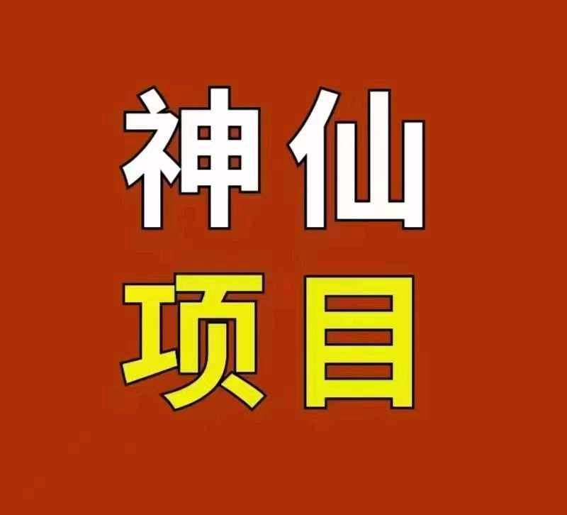 王先生问卷调查项目，抽佣分成模式，操作简单，收益日结，单日收益*