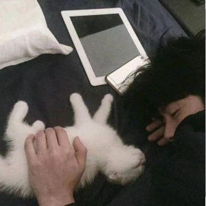 阳先生