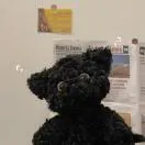 u客直谈实名认证郭增磊