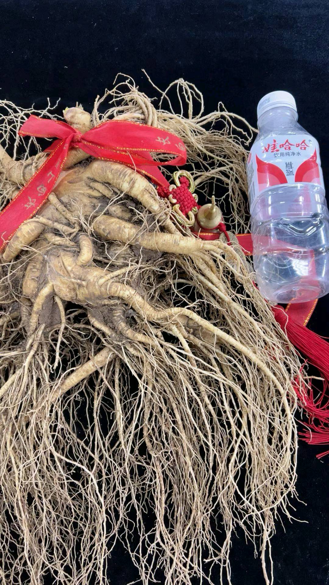 马宝俊长白山土特产寻找销售合作伙伴