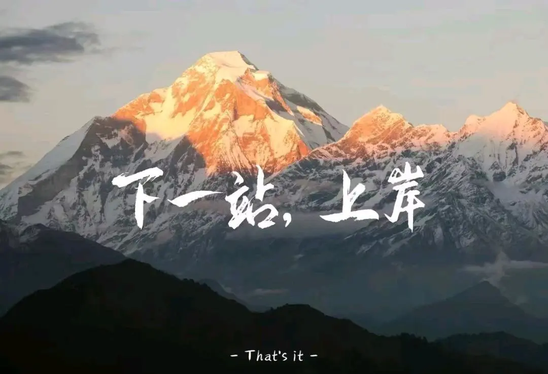王女士找合伙人