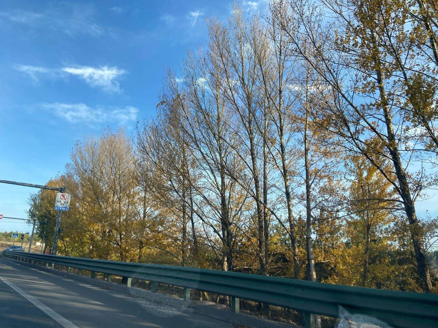 贺女士找合伙人手机答题赚钱,3元一题,一天可做500题,多劳多得