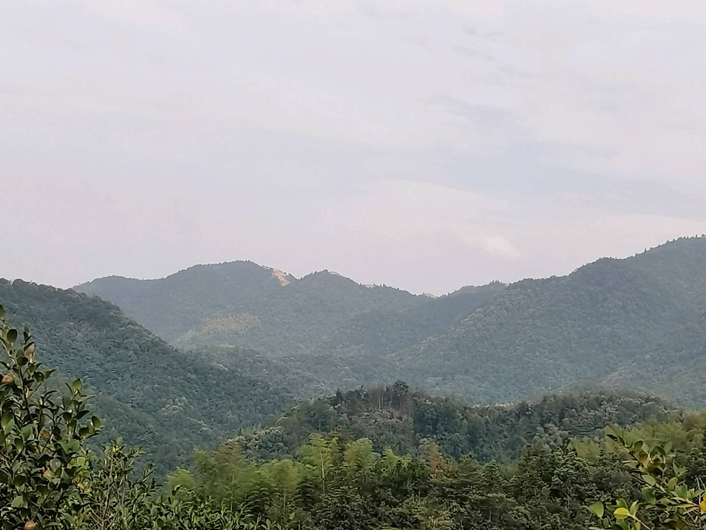 温先生找合伙人文旅项目，寻找直接投资人
