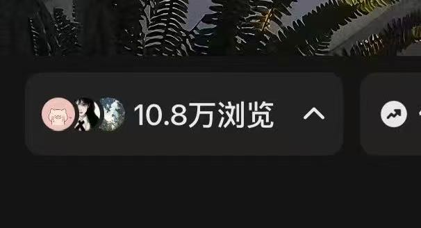 袁先生找合伙人