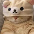 u客直谈实名认证杨先生