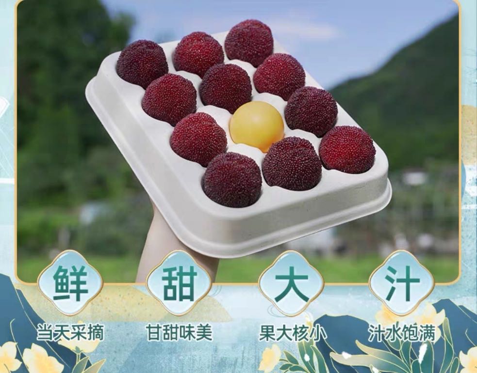 王露露品牌货源