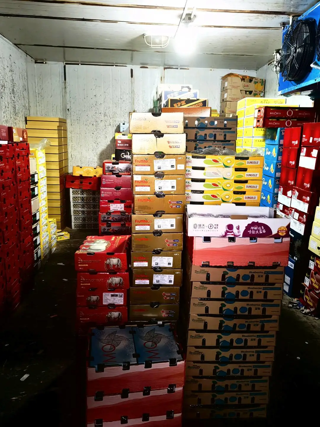 单中惠品牌货源进口类水果产品