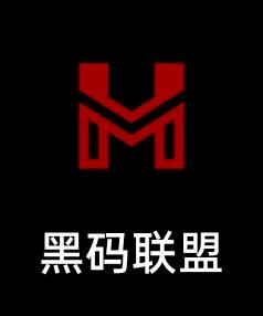 徐先生地推项目