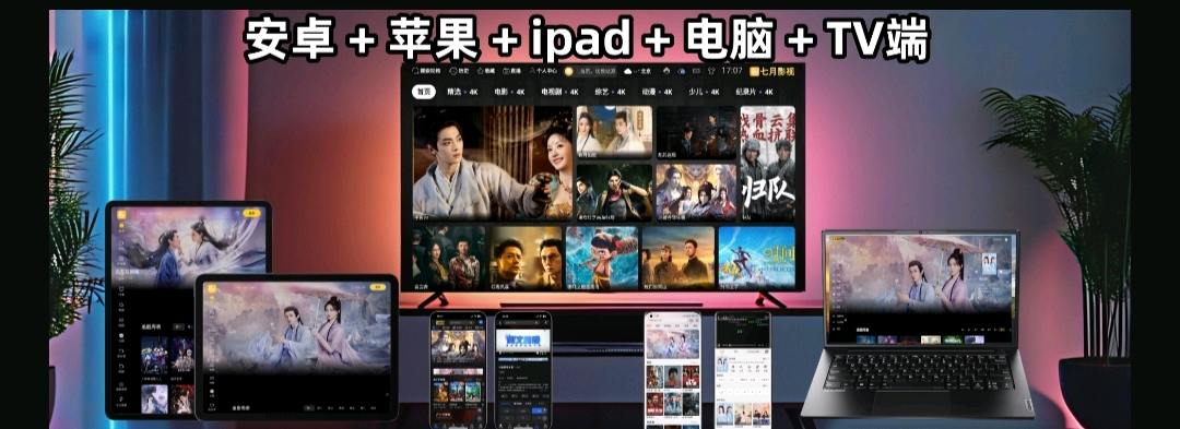 楚雯铄找合伙人高利润项目，卖影视会员卡，全网通用一对一