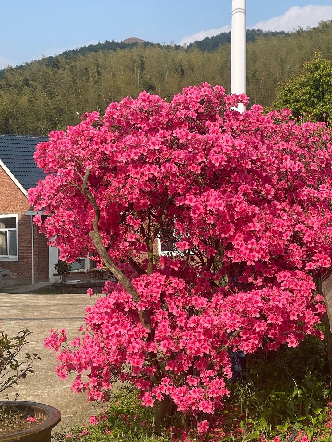 赵昌勤找合伙人芜湖市京东外卖城市合伙人