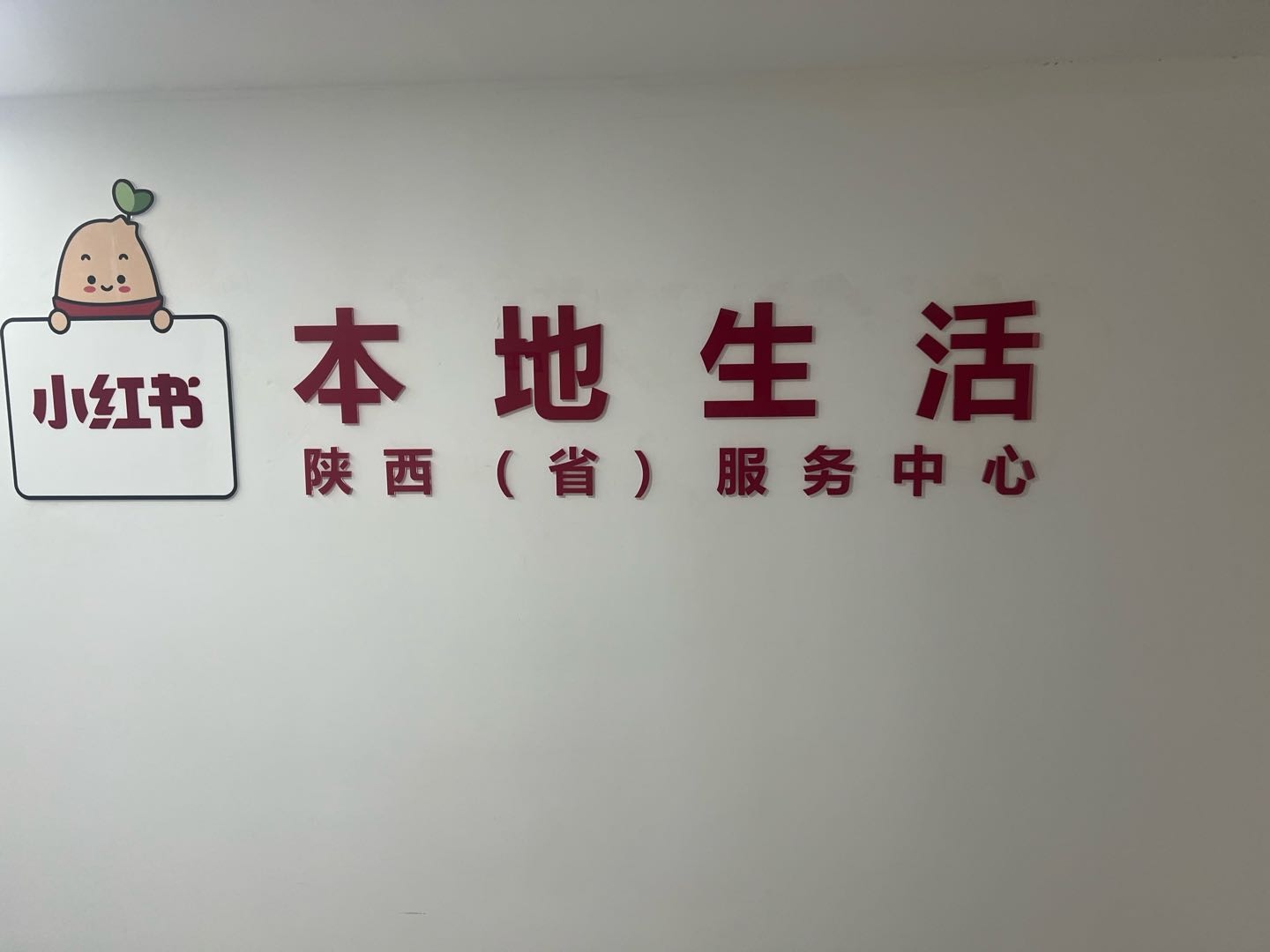 张震其他供需小红书本地生活