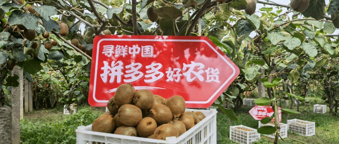 张先生找合伙人