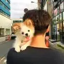 u客直谈实名认证吴灿