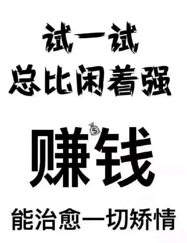 蔡威找合伙人爆火游戏游戏搬砖 零门槛 全职副业 可做 日结收益 秒结算