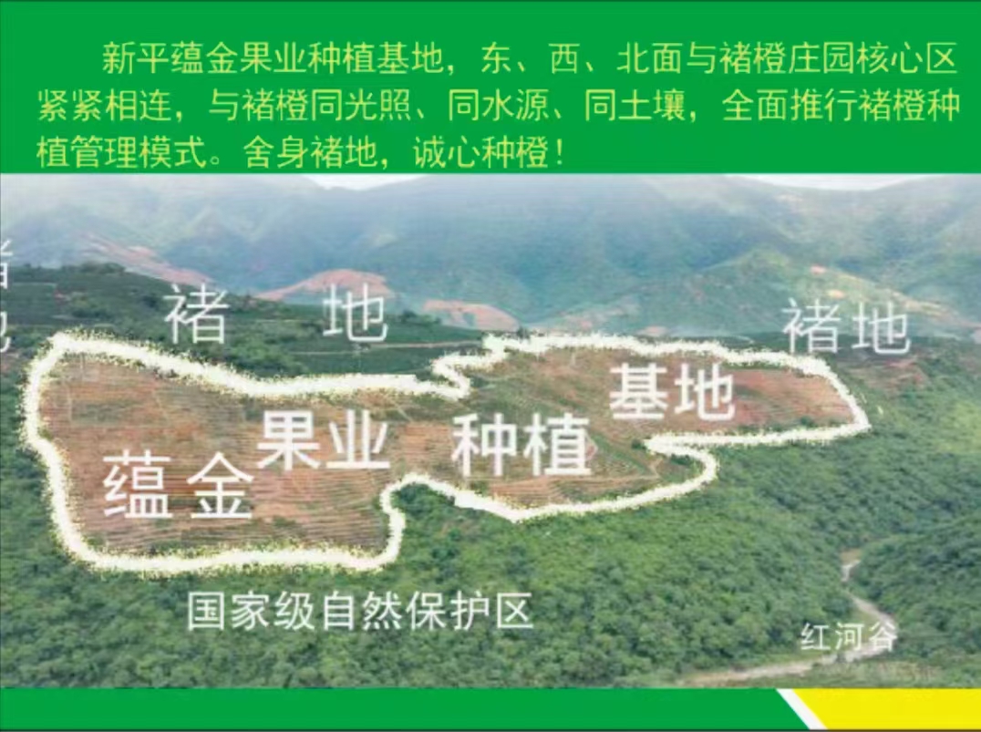 李先生品牌货源自家冰糖橙基地，寻找销售渠道