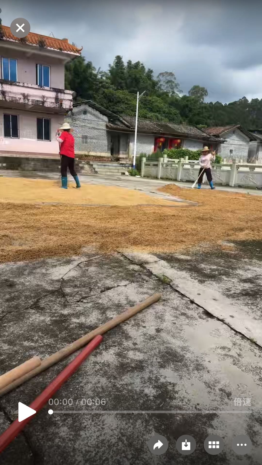 王先生其他供需