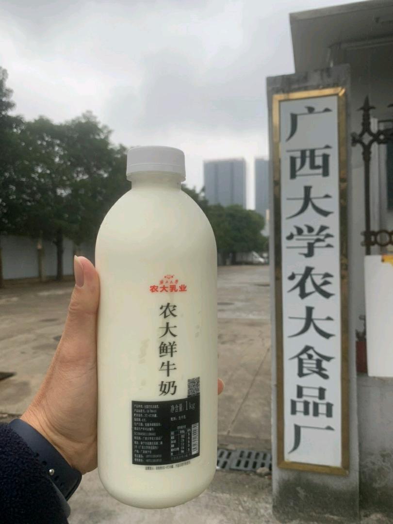 杨先生找合伙人广西大学农大水牛奶找帮卖团长