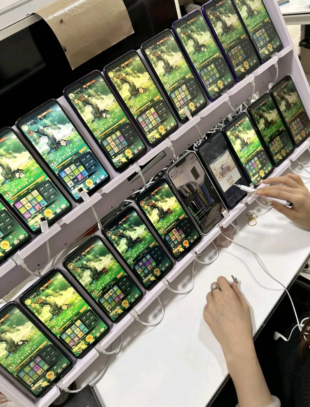 彭先生其他供需小游戏自动看广告 单机25+