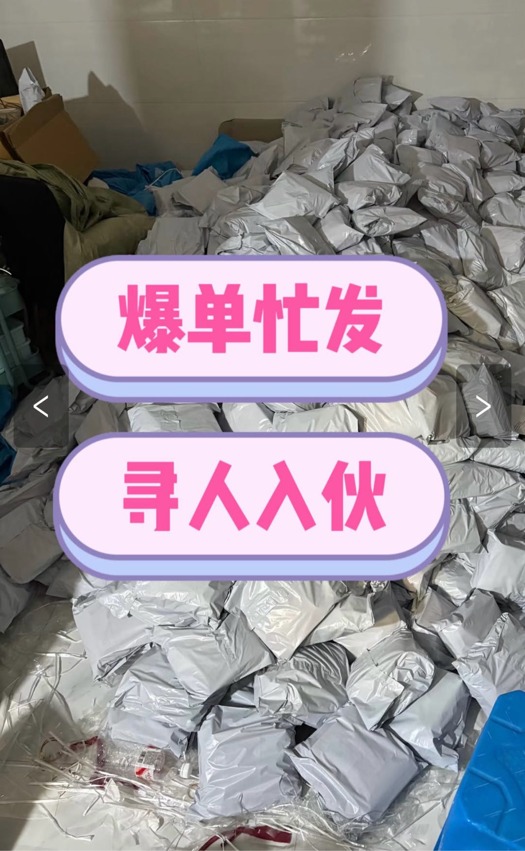 张莉找合伙人