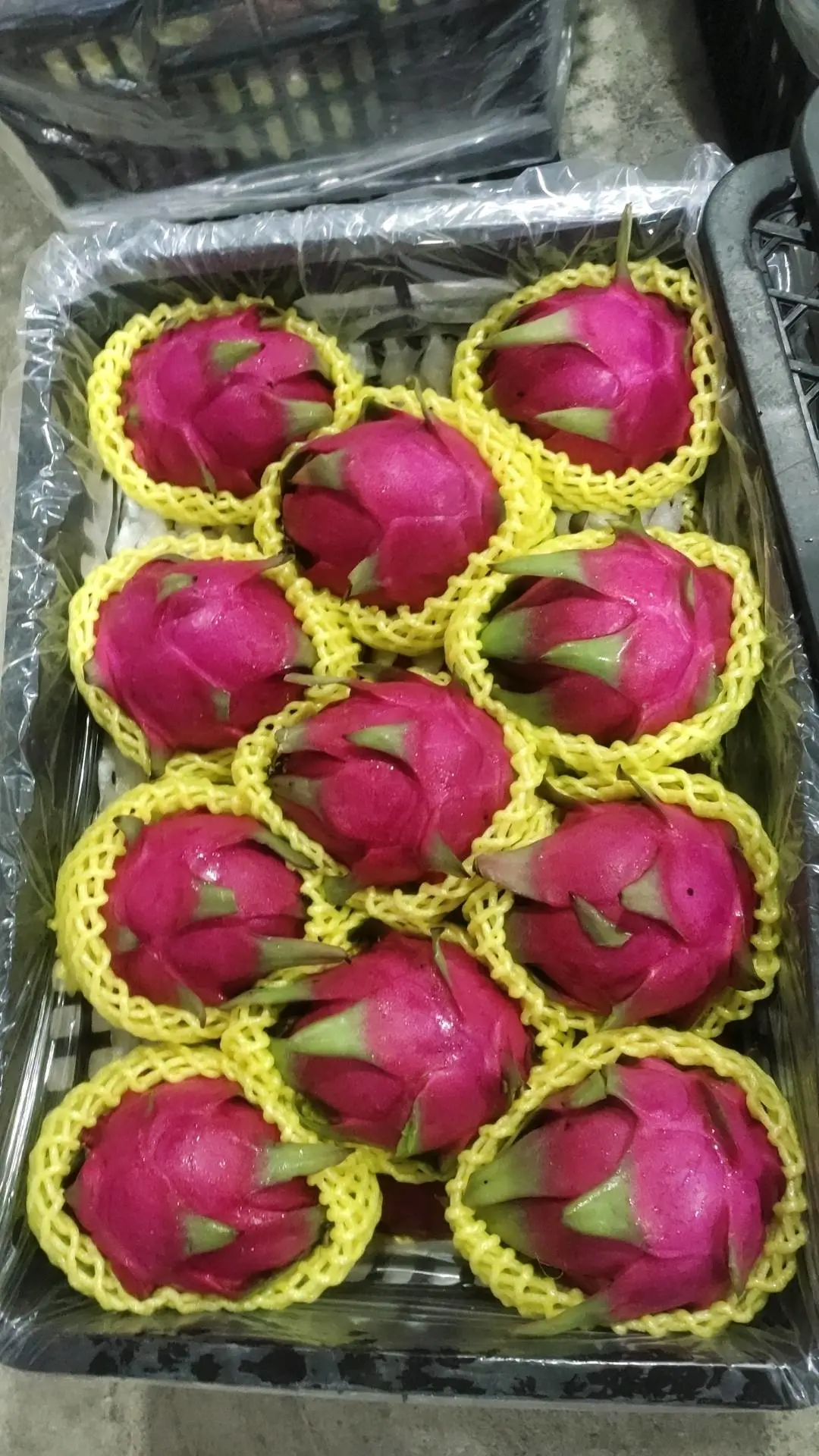 陆先生品牌货源