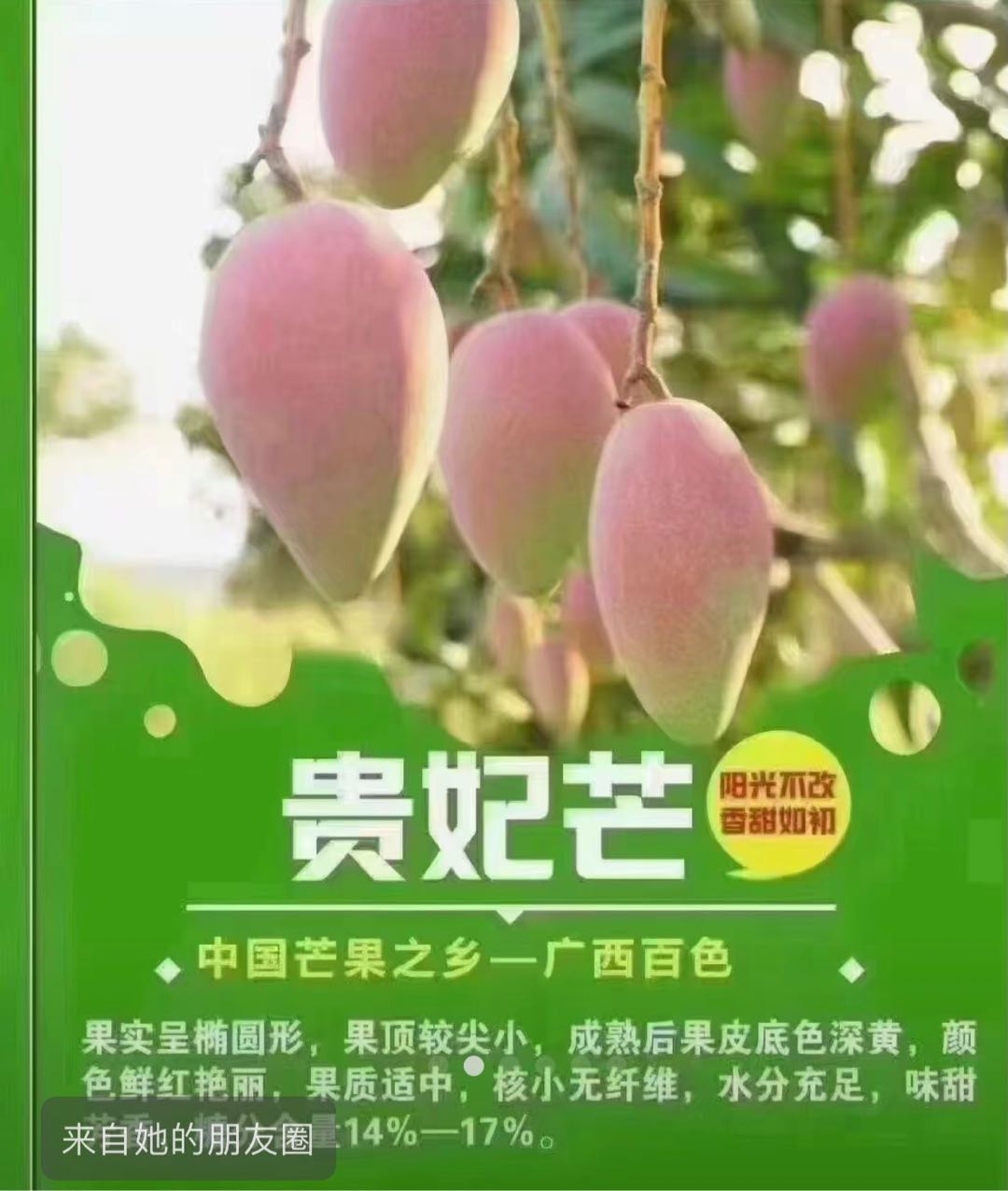 罗女士品牌货源