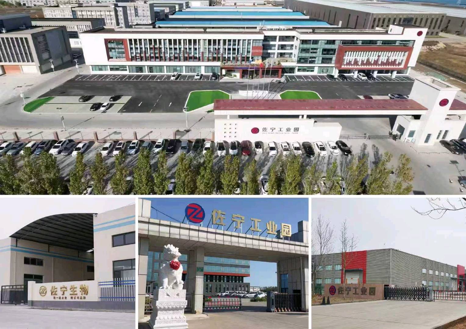 付志超其他供需东营佐宁生物科技有限公司保健品一站式OEM代工厂