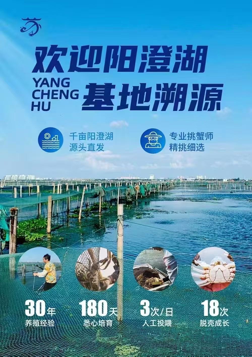 于家乐苏霸王阳澄湖大闸蟹礼券，中秋爆款，高利润，支持定制，欢迎原产地溯源考察