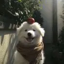 u客直谈王影东