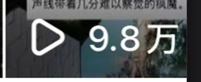 朱微曼其他供需爆火的项目来了！小说推文+短剧推广