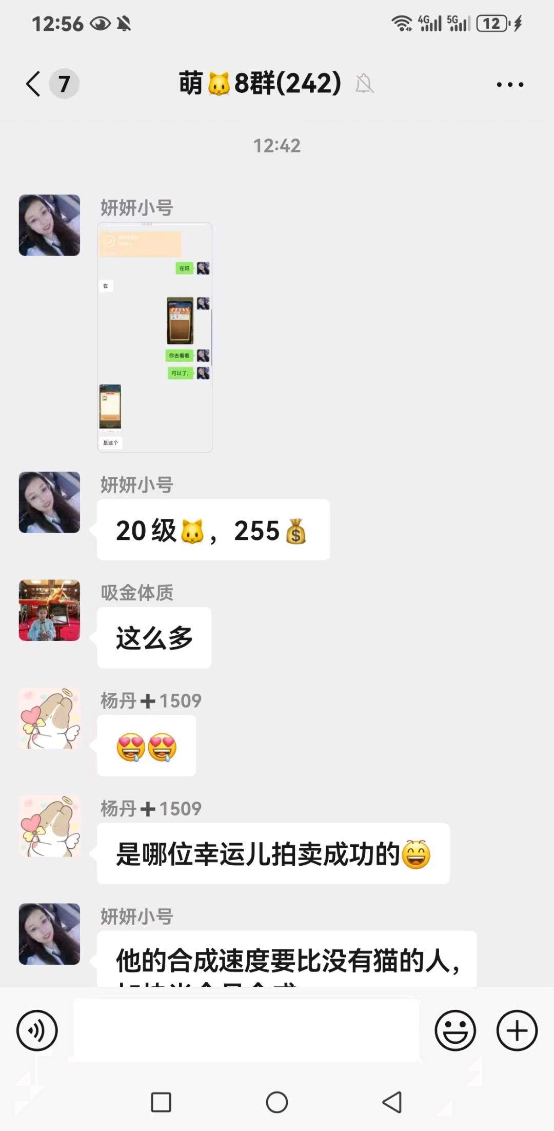 赵女士其他供需萌猫合成项目来了！