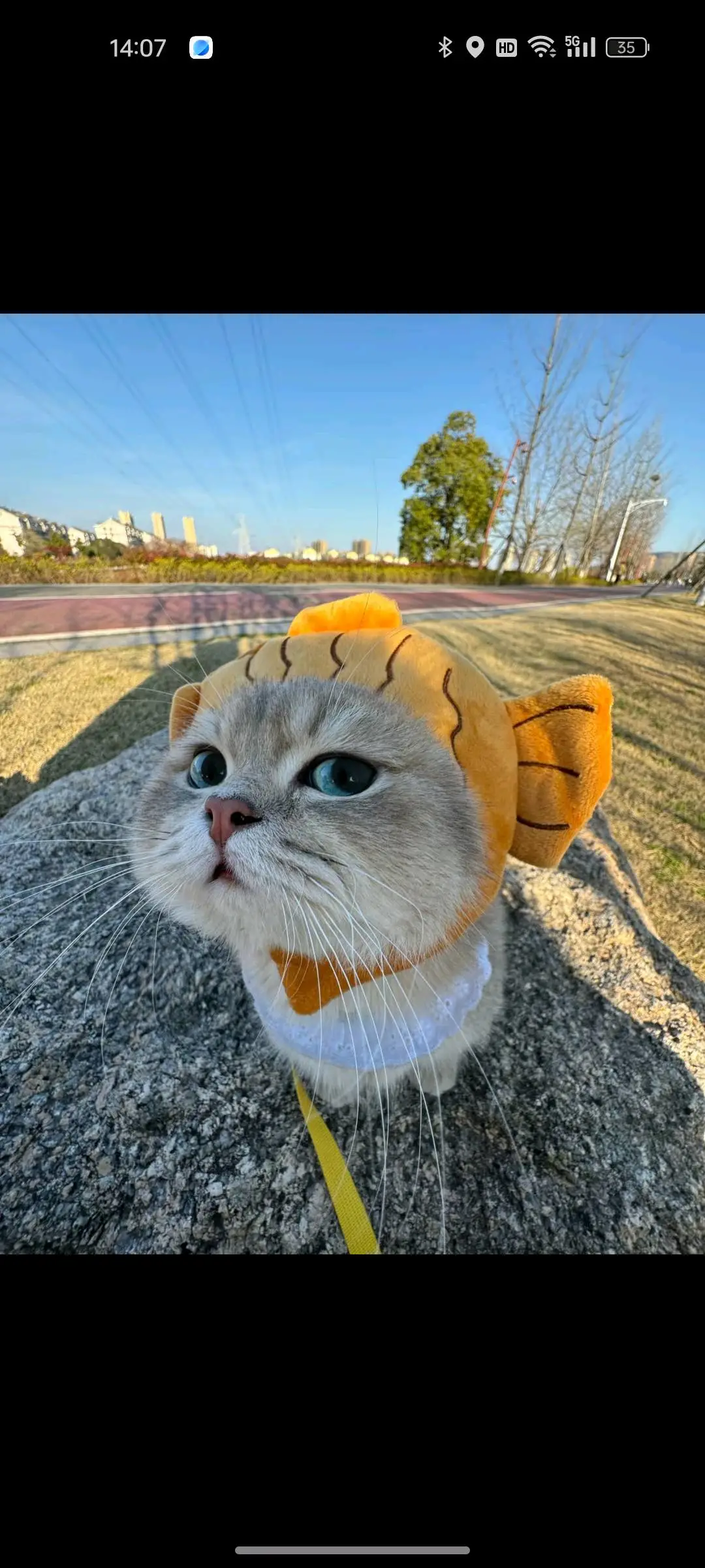 邵女士