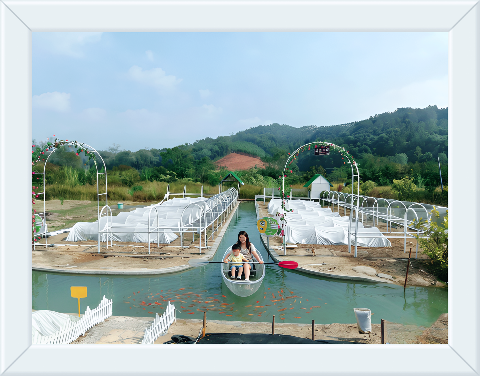 何先生找合伙人共享水上农场招募农场主