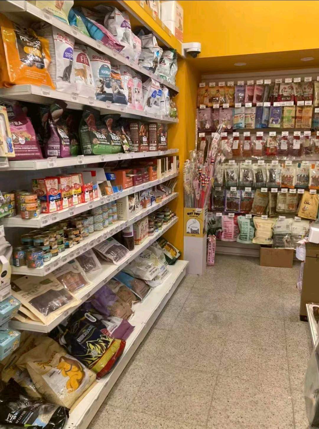 林伊桐品牌货源