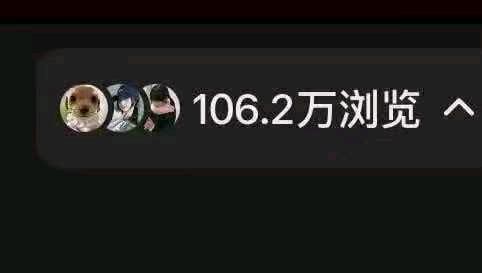 司女士其他供需