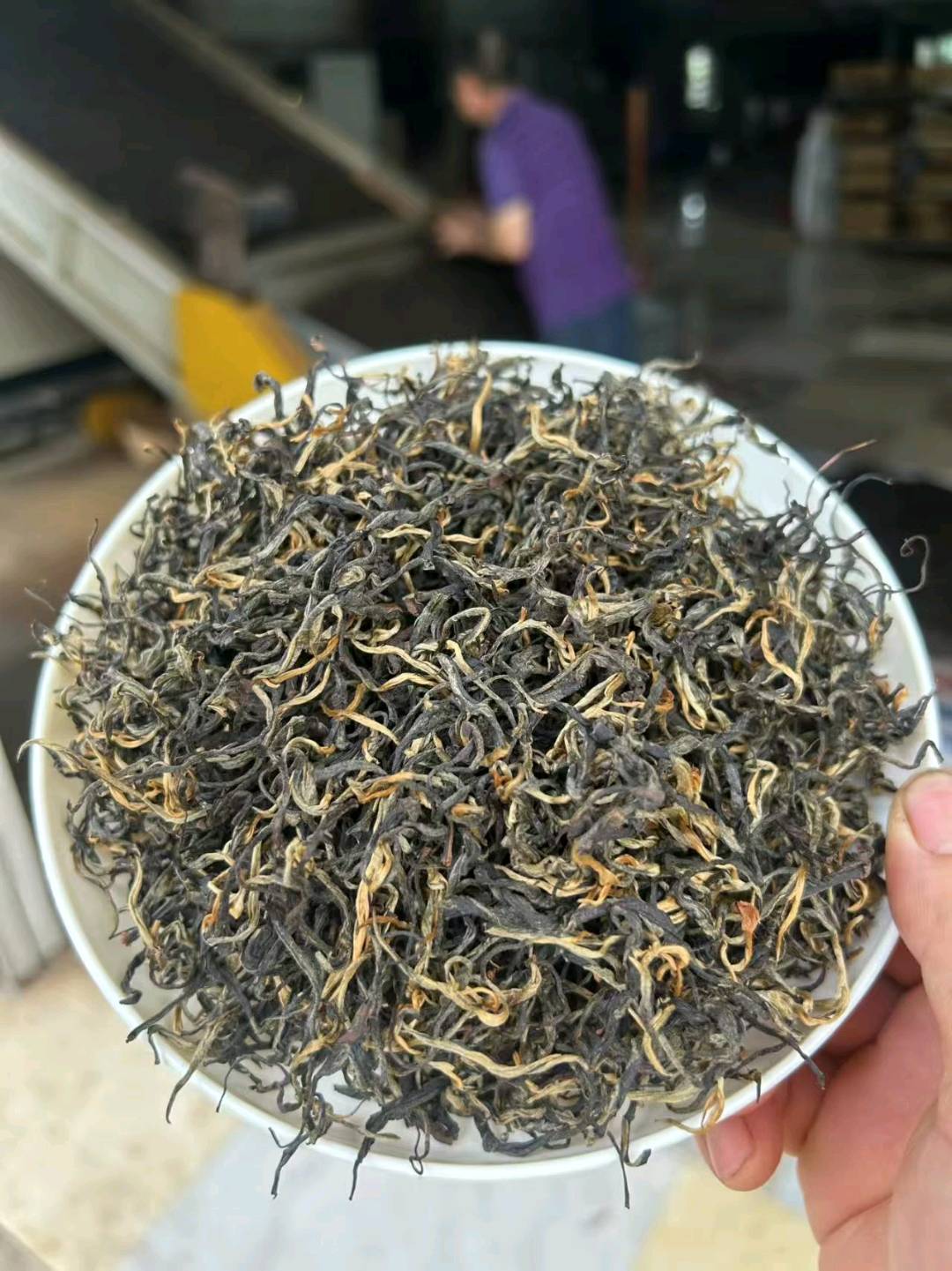 杨赋品牌货源寻找销售英红九号茶叶渠道